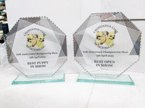 Colour Printed Glass 1