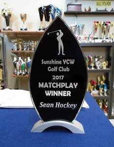 Engraved Glass Award - 3