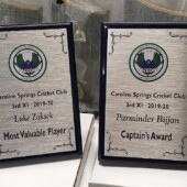 Plaques Plaques