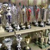 Showroom Showroom