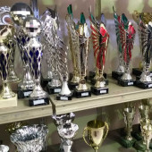 Showroom 3 Showroom 3