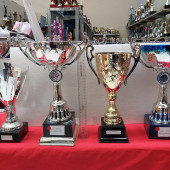 Trophy Cups Trophy Cups